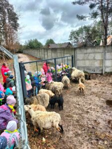 "Tygryski" poszukują zajączka