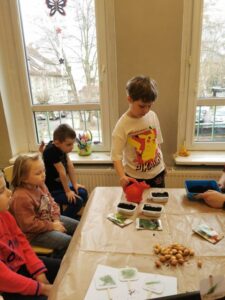 Wiosenny ogródek- "Biedronki"