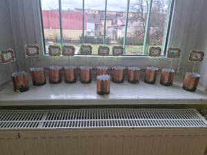 Wiosenny ogródek "Motylków"