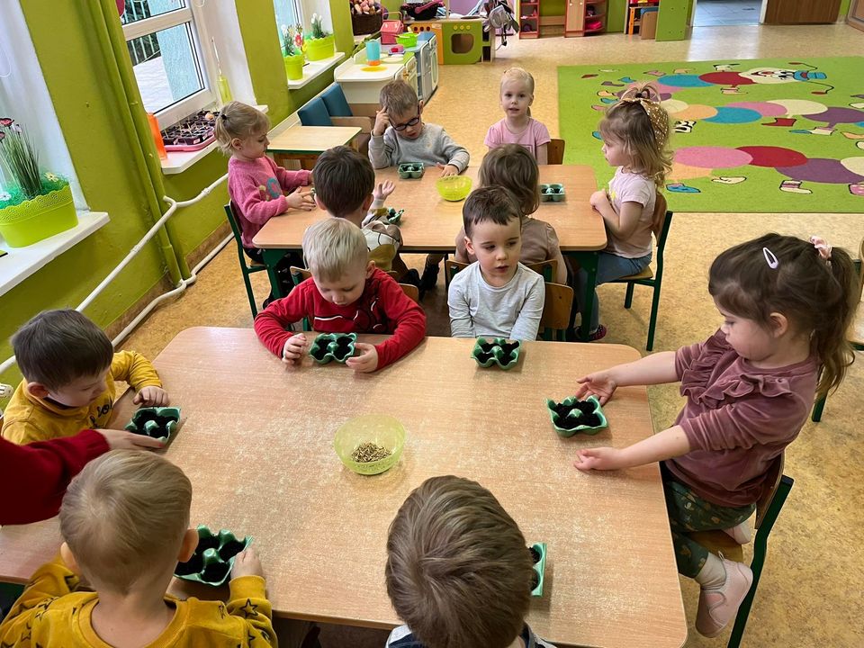 Siejemy owies na święta- "Sówki"