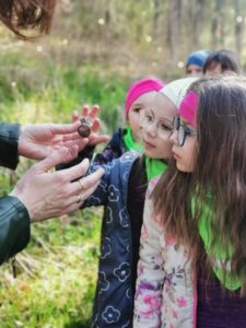 Wycieczka na łąkę- "Motylki" i "Biedronki"