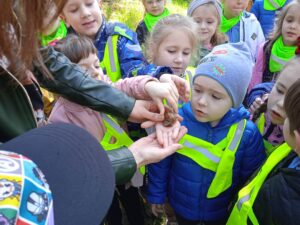 Wycieczka na łąkę- "Motylki" i "Biedronki"