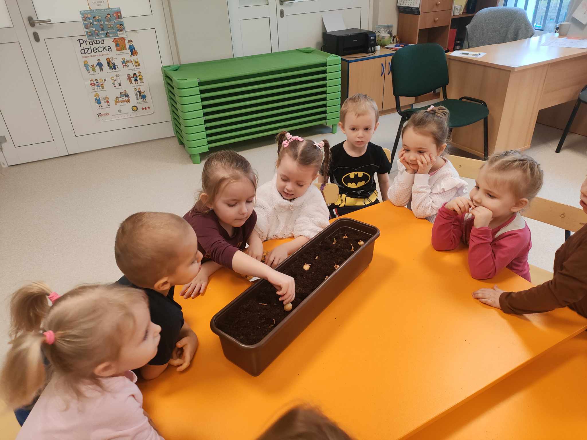 Mali ogrodnicy- "Delfinki"