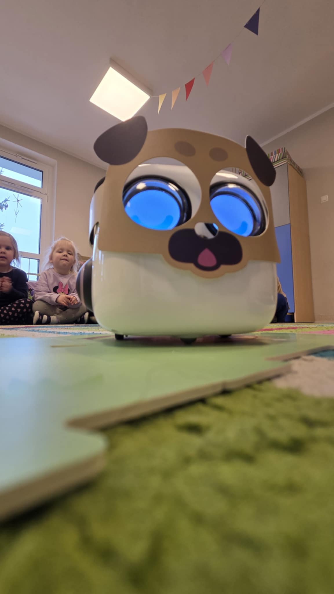 "Delfinki" programują robota