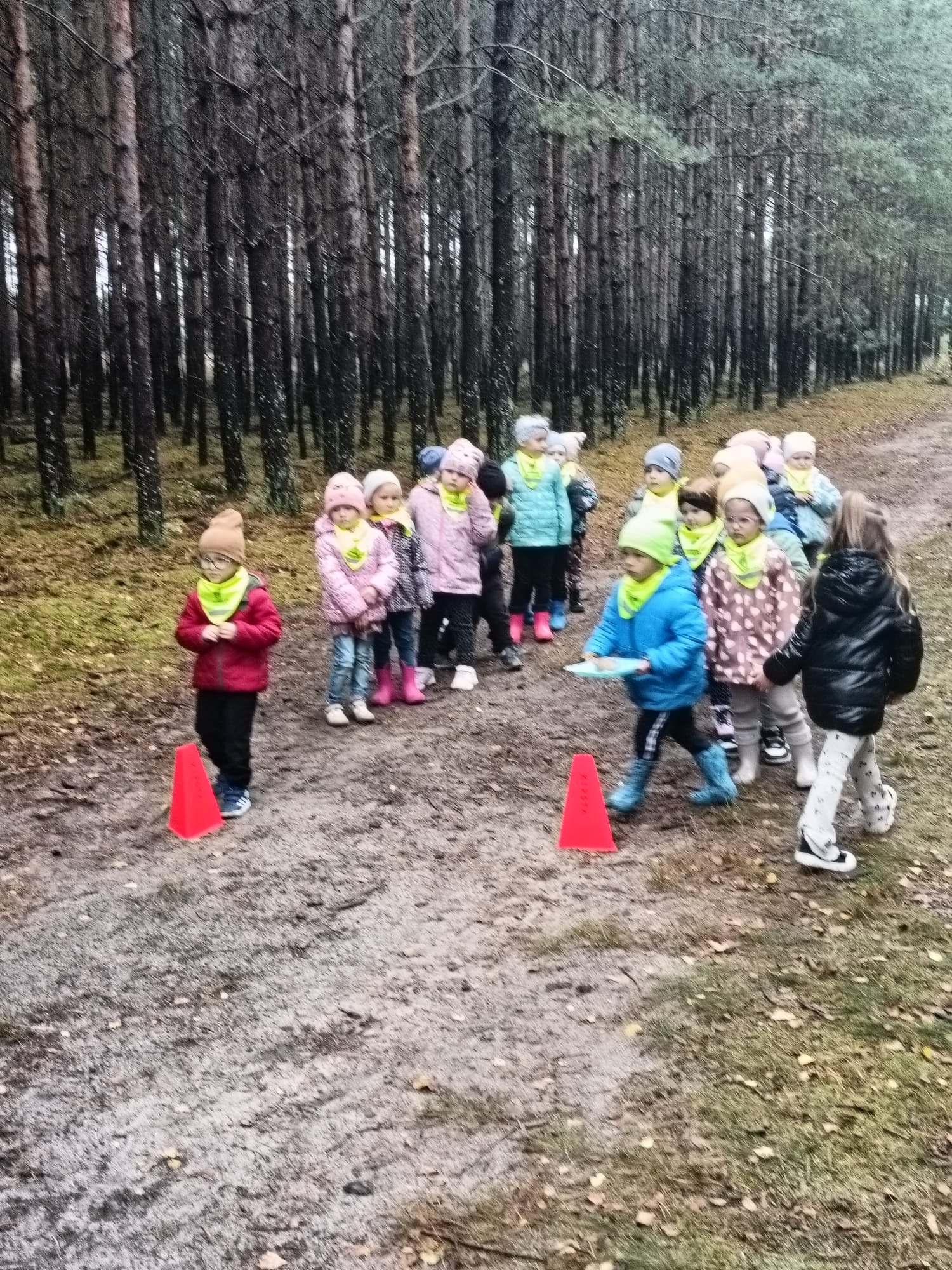 Dzień pieczonego ziemniaka - wycieczka do Stradunia Motylki