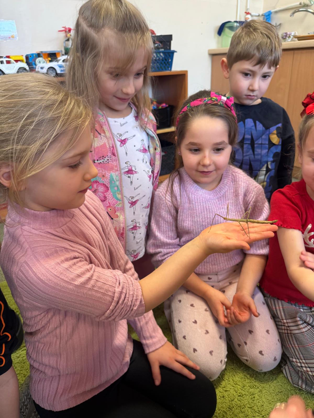 Program „Przyjaciele Zippiego ” -  "Minionki"