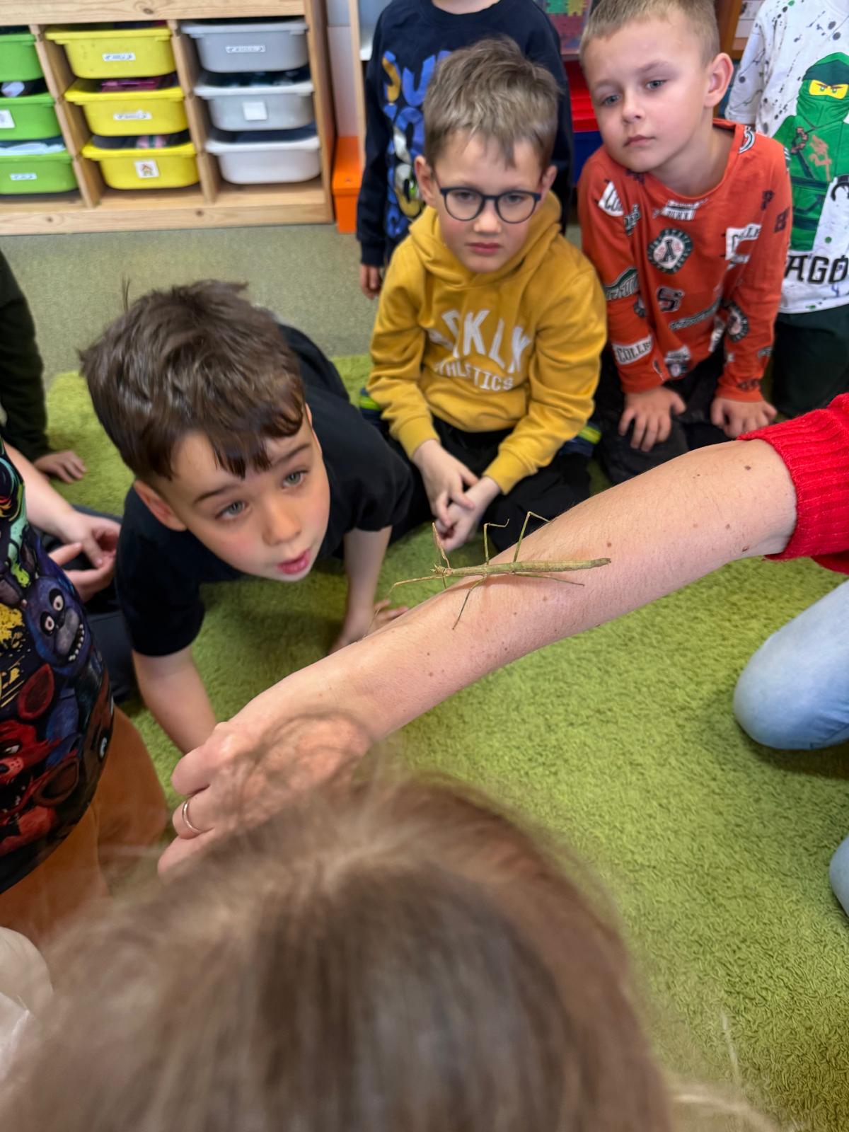 Program „Przyjaciele Zippiego ” -  "Minionki"