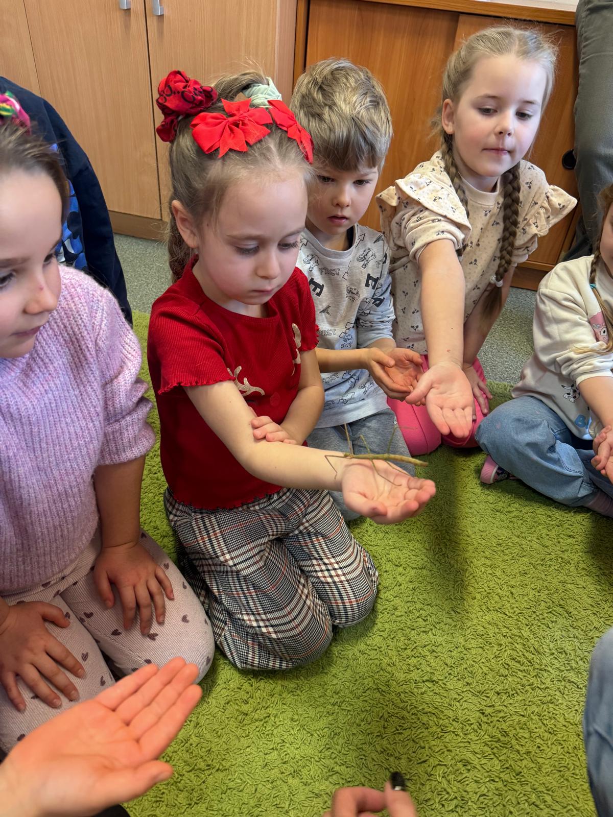 Program „Przyjaciele Zippiego ” -  "Minionki"