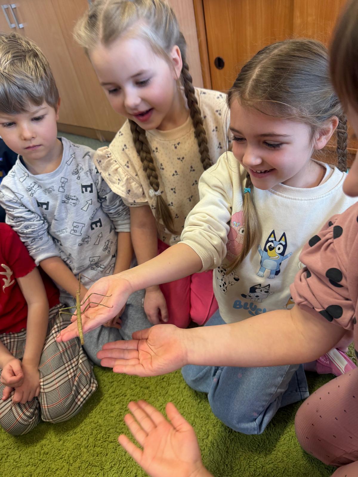 Program „Przyjaciele Zippiego ” -  "Minionki"