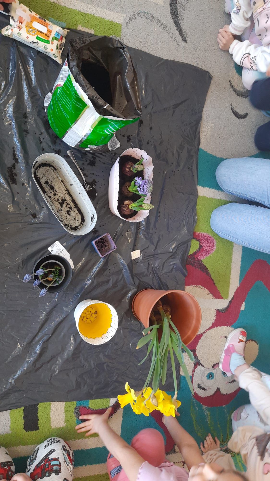 Minionki - wiosenny ogródek kwiatowy